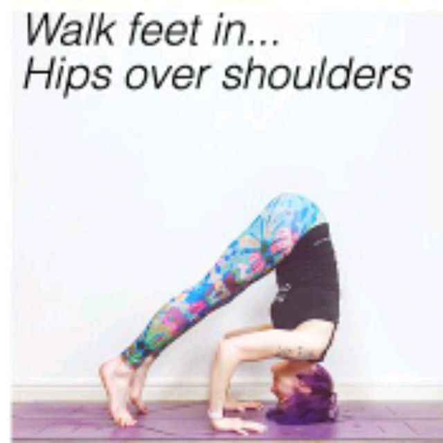 Tripod Dog Exercise Howto Workout Trainer by Skimble