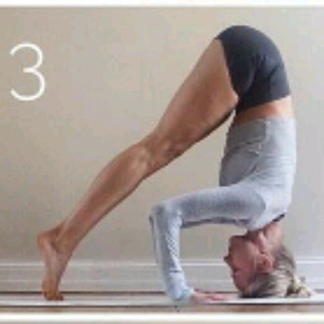 Tripod Dog Exercise Howto Workout Trainer by Skimble