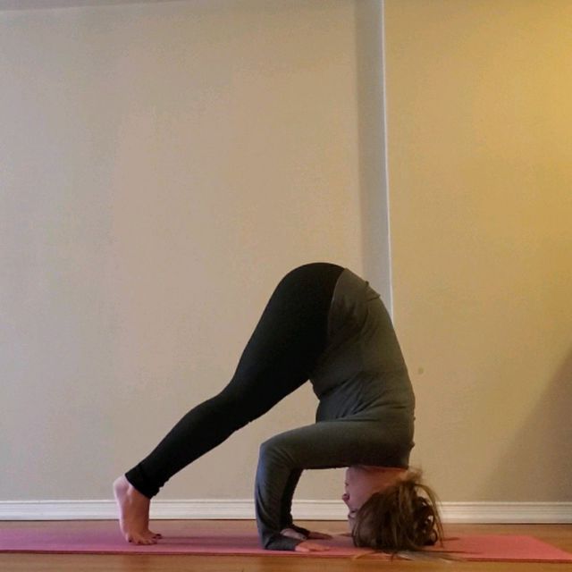 Tripod Dog Exercise Howto Workout Trainer by Skimble