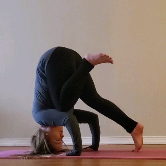 Tripod Dog Knee Rest by Bernadette Cordeau Exercise Howto Skimble