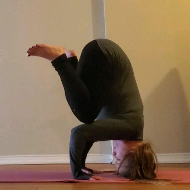 Tripod Dog Rested Knees Exercise Howto Workout Trainer by Skimble