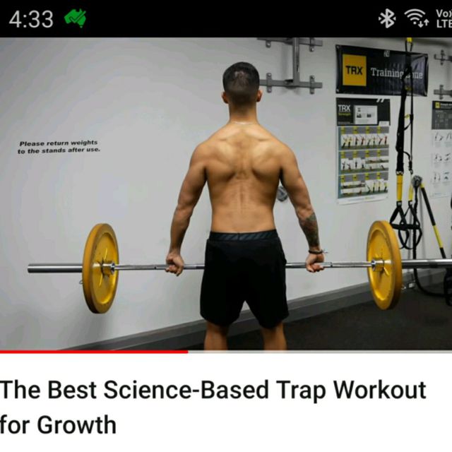 UPPER TRAPS SHRUGS Exercise Howto Workout Trainer by Skimble