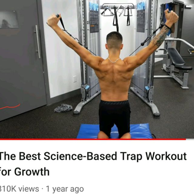 LOWER TRAPS Exercise Howto Workout Trainer by Skimble