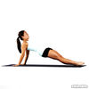 Leg Pull Back