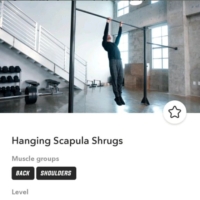 Hanging Scapula Shrugs by Tulio Ribeiro Exercise Howto Skimble