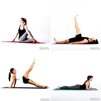 yogi