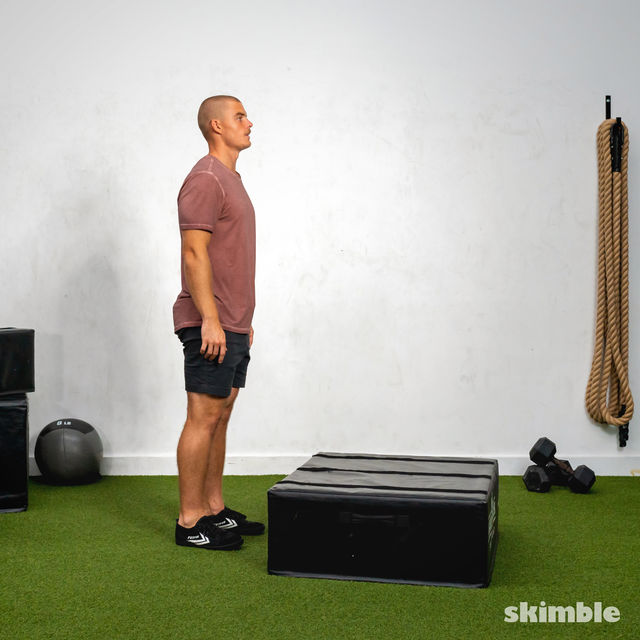 Left Leg Box Jumps 锻炼方法 Skimble Workout Trainer
