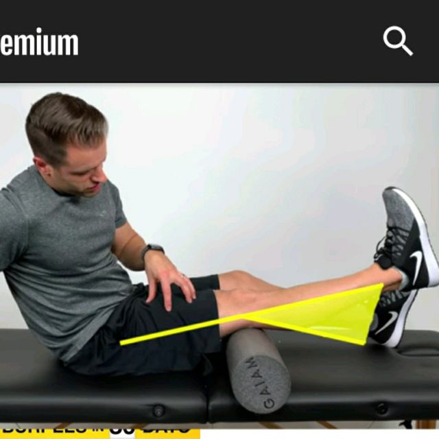 SHORT ARC QUADS by Vincent H. Exercise Howto Skimble