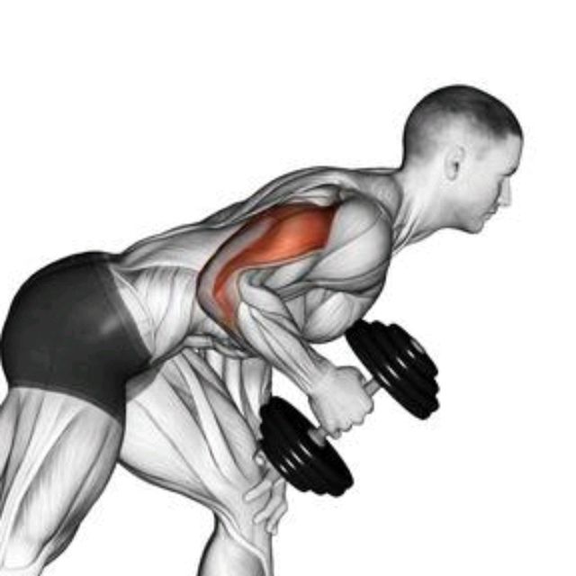 Triceps Kickback by Zsolt Dobroczki Exercise Howto Skimble