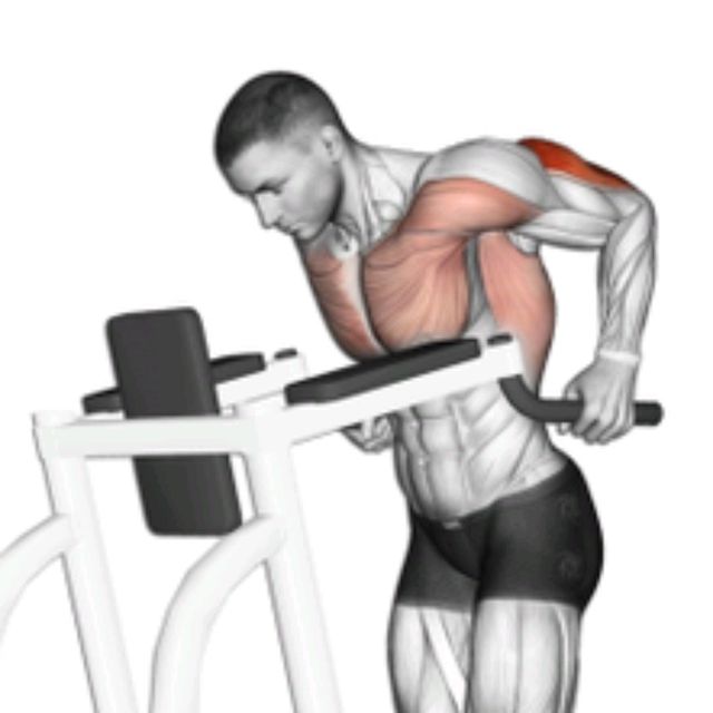 Triceps Dips by Zsolt Dobroczki Exercise Howto Skimble