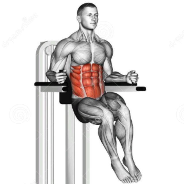 Knee Raise by Zsolt Dobroczki Exercise Howto Skimble