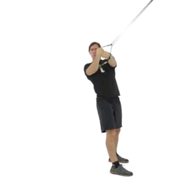 Suspended Straightarm Rotations Exercise Howto Workout Trainer by