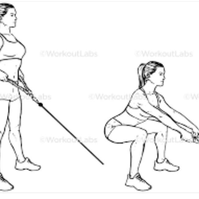 cable Squat row by Adele A. Exercise Howto Skimble