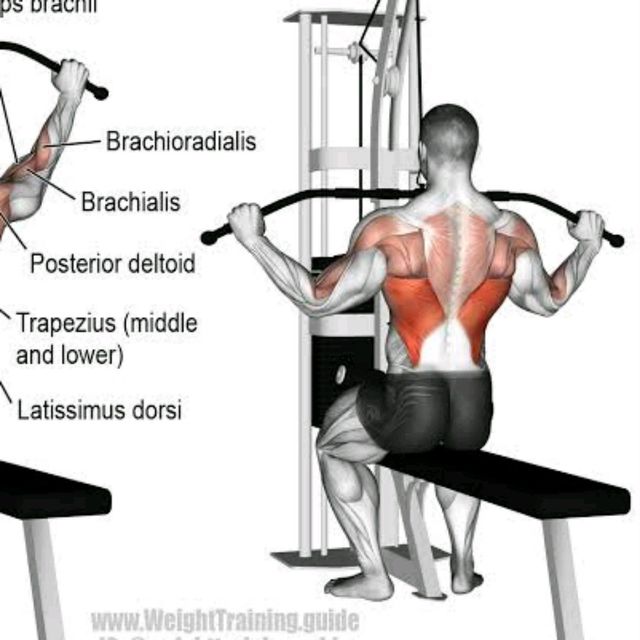 Lateral Pulldown by Fawwaz Sathaar Exercise Howto Skimble