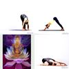 Advance Yogi Flow