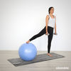 Stability Ball LAK Created