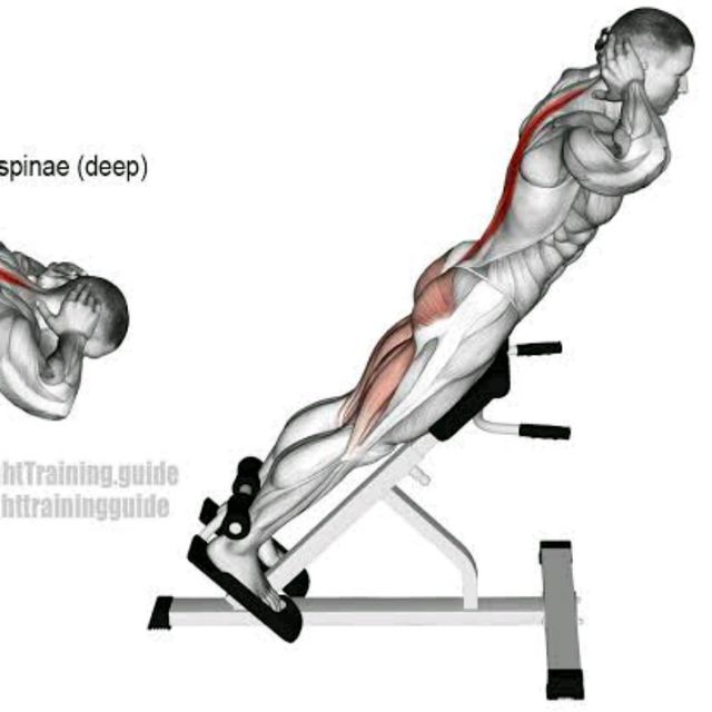 Weighted Back Extension by Abdi Ahmed Exercise Howto Skimble