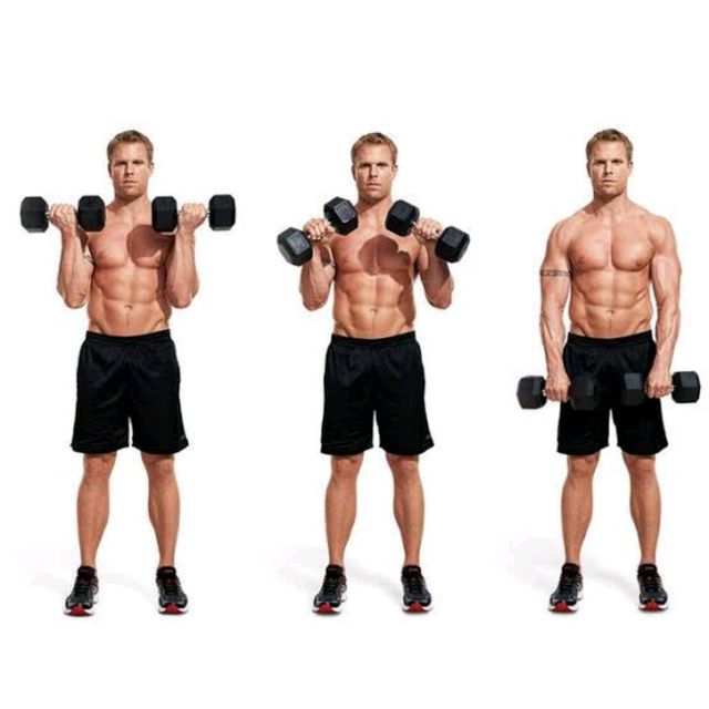 Zottman Curl by Abdi Ahmed Exercise Howto Skimble