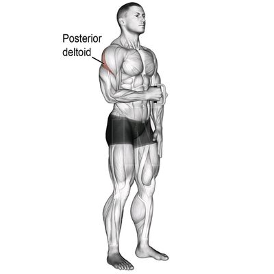 1-Arm Internal Rotation (Left) - Exercise How-to - Workout Trainer by ...