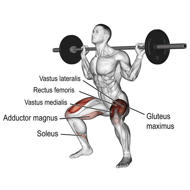 Barbell Back Squat Exercise Howto Workout Trainer by Skimble