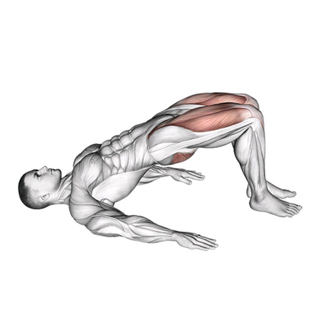 Glute Bridge by John M. Exercise Howto Skimble