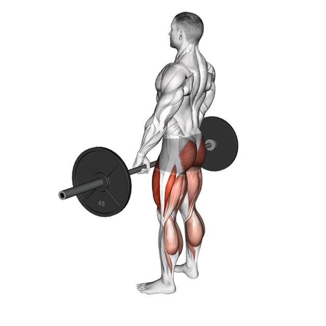 Barbell Standard Deadlift by John M. Exercise Howto Skimble