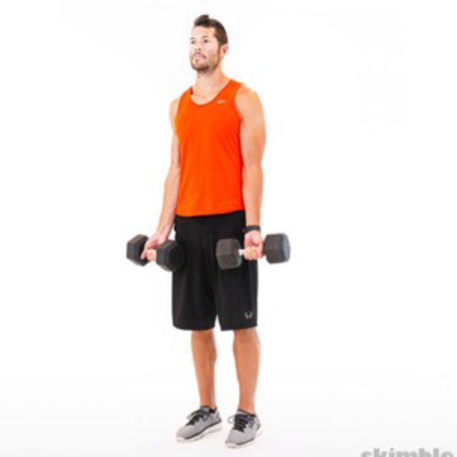 Bicep Curl 5 Slow Reps by ꧁𝒩𝒶𝓉𝒽𝒶𝓁𝒾ℯ ꧂ ℒ𝒾𝓉𝒶𝓁𝒾ℯ𝓃 Exercise Howto Skimble