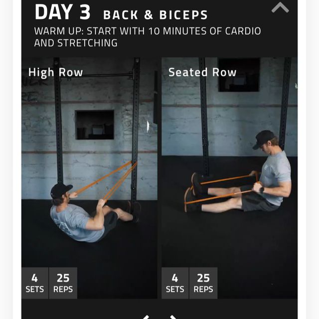 High Row Exercise Howto Workout Trainer by Skimble