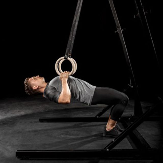 Inverted Row Rings Horizon 90d by Jesper F. Exercise Howto Skimble