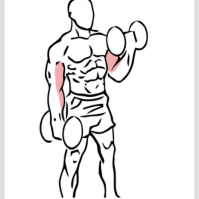 Dumbbell Curls by Titanshores _ Exercise Howto Skimble