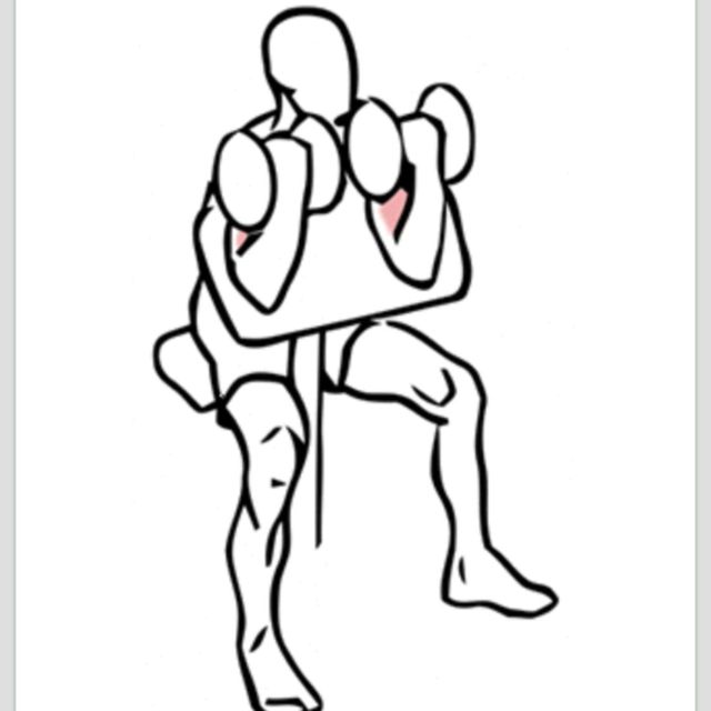 Dumbbell Preacher Curl by Titanshores _ - Exercise How-to - Skimble