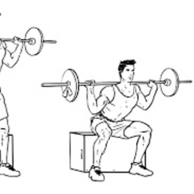 Box Squats by Elizabeth Helmick - Exercise How-to - Skimble