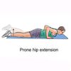 Prone Hip Extension