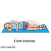 Clam