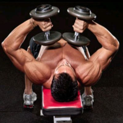 Chest Day
