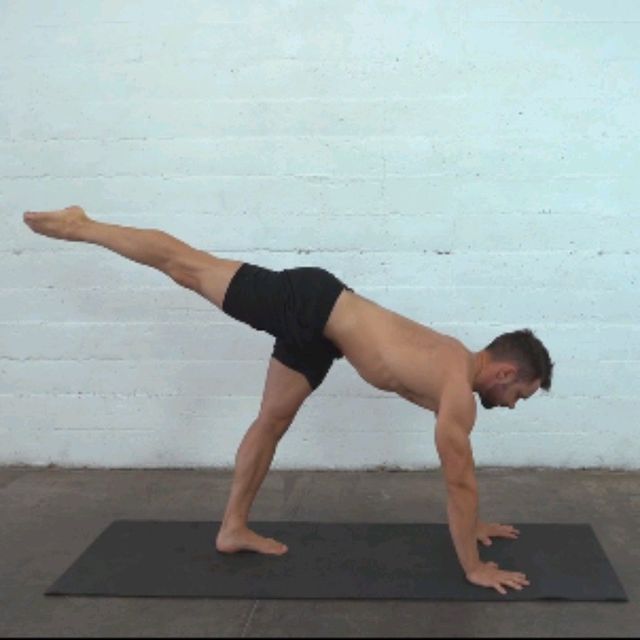 Walking Dog Exercise Howto Workout Trainer by Skimble