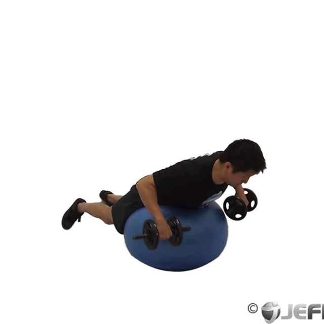 Stability Ball Dumbbell Prone Rear Delt Row by Tiffany D. Exercise