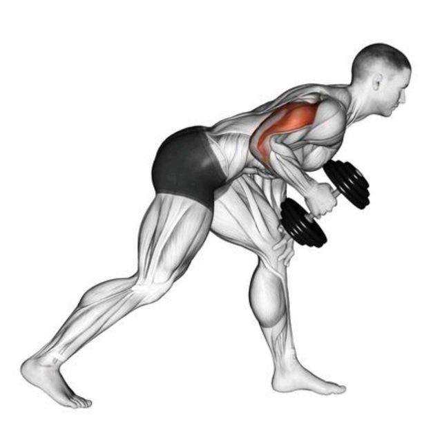 Dumbbell Kickbacks by Richard Terry Jr Exercise Howto Skimble