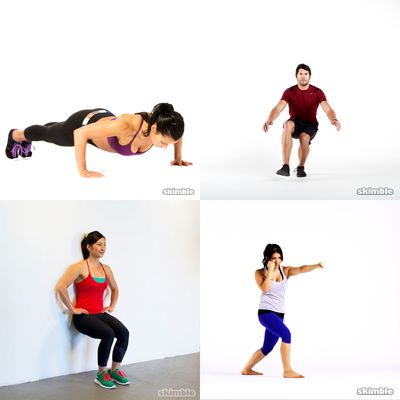 la pushups program