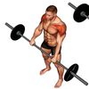 Workouts