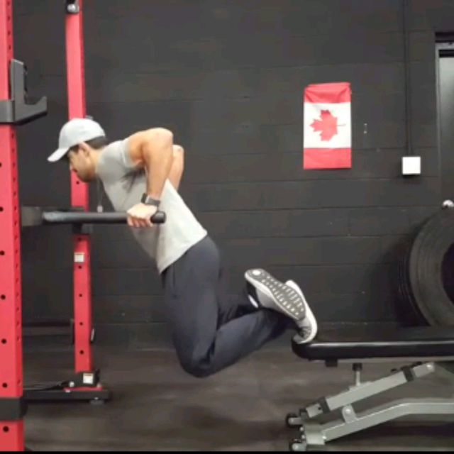 Bench Assisted Parallel Bar Dips by Francisco Perez Ejercicio Cómo