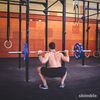 barbell legs