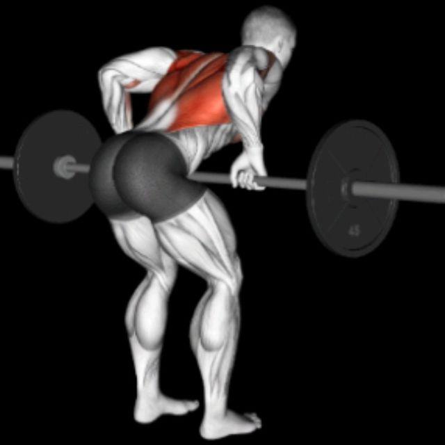 Barbell Bent Over Row by Richard Terry Jr Exercise Howto Skimble