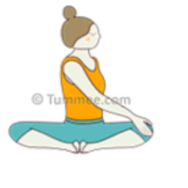 Revolved Butterfly by 𝔻𝕖𝕤𝕖𝕣𝕥 𝔽𝕠𝕩🦊 🌟 - Exercise How-to - Skimble