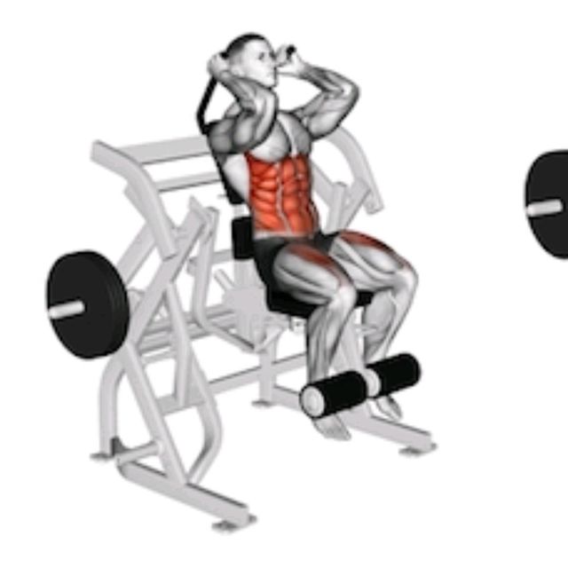 Ab Crunch Machine by Richard Terry Jr Exercise Howto Skimble