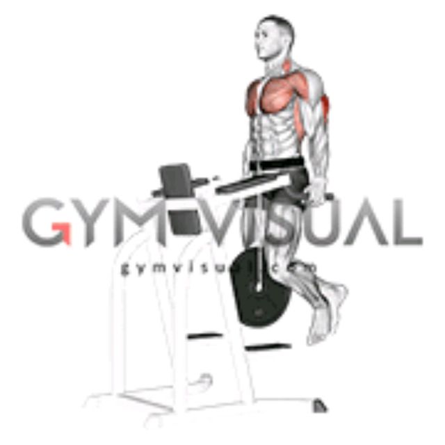 Weight Tricep Dips by Richard Terry Jr Exercise Howto Skimble