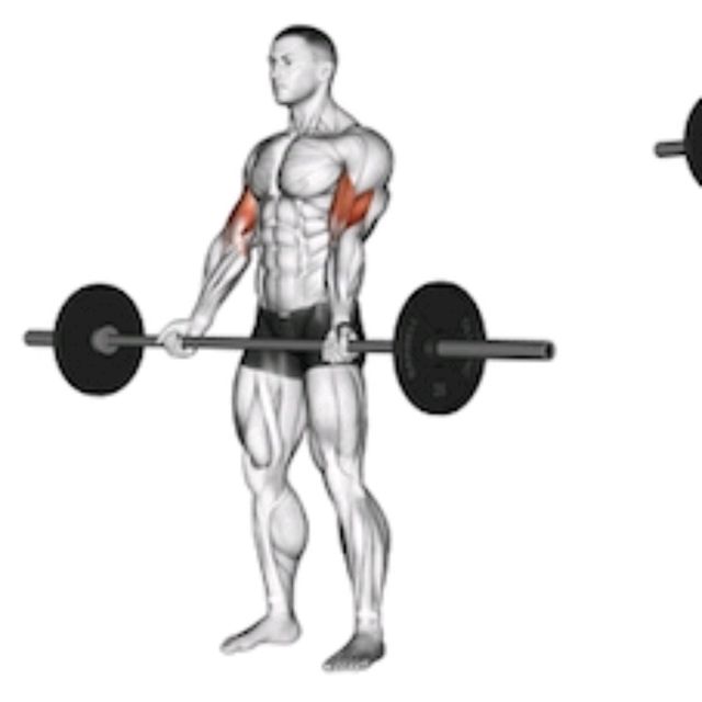 Wide Grip Barbell Curls Exercise Howto Workout Trainer by Skimble
