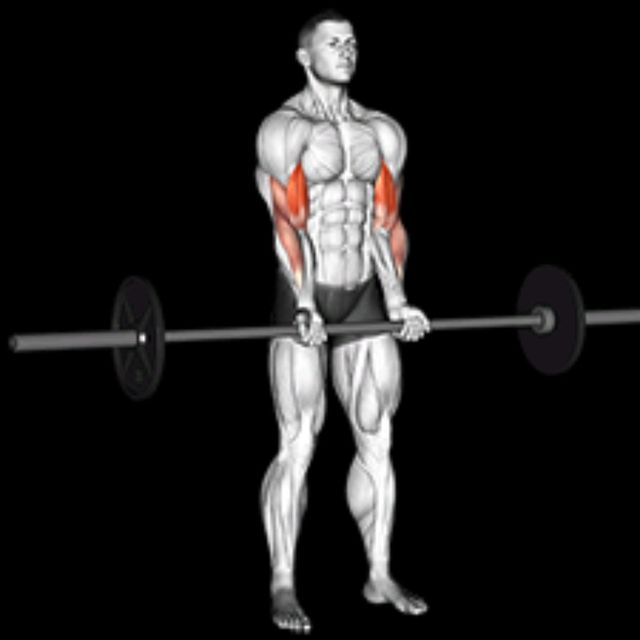 Narrow Grip Barbell Curl by Richard Terry Jr Exercise Howto Skimble