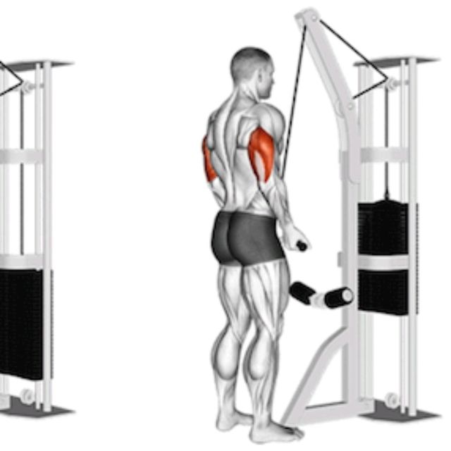 Underhand Grip Tricep Pulldown by Richard Terry Jr Exercise Howto
