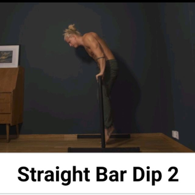 Straight Bar Dip Exercise Howto Workout Trainer by Skimble